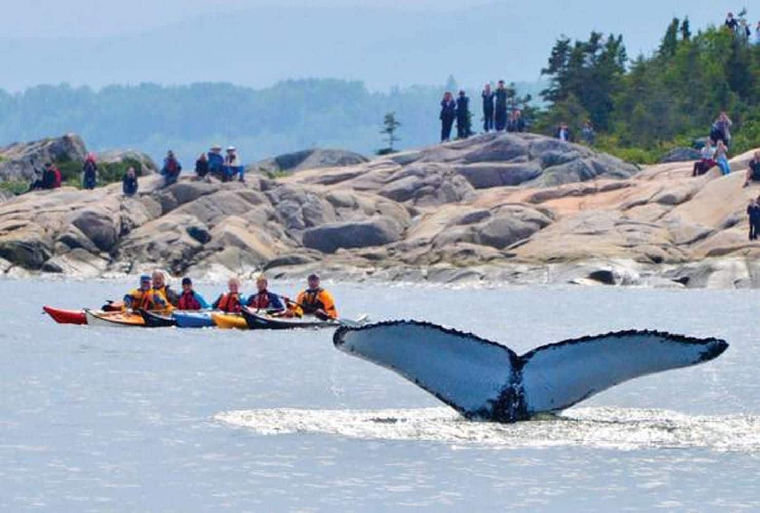 Utsikt fra overnattingsstedet
