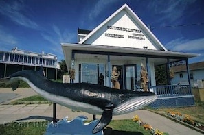 A building with a sign that reads "BUREAU DE SÉVÉRANCE DES BIOTOPS." - Gite au Vieux Pommier (Tadoussac)