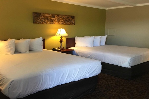 Blackout drapes, free WiFi, bed sheets