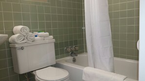 Bathroom features a toilet, bathtub, and shower area.