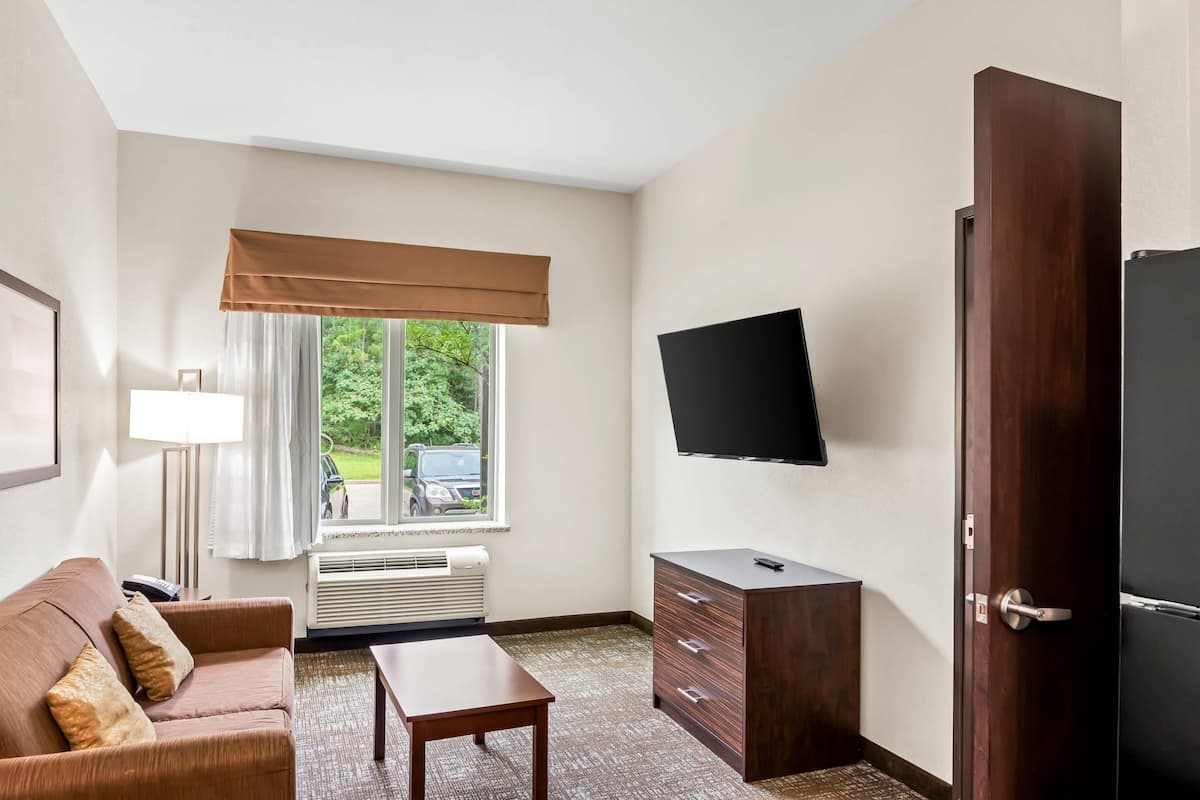 A hotel room with a brown sofa, a small table, a dark wooden cabinet, a flat-screen TV, and a window with a view of greenery and parked cars.