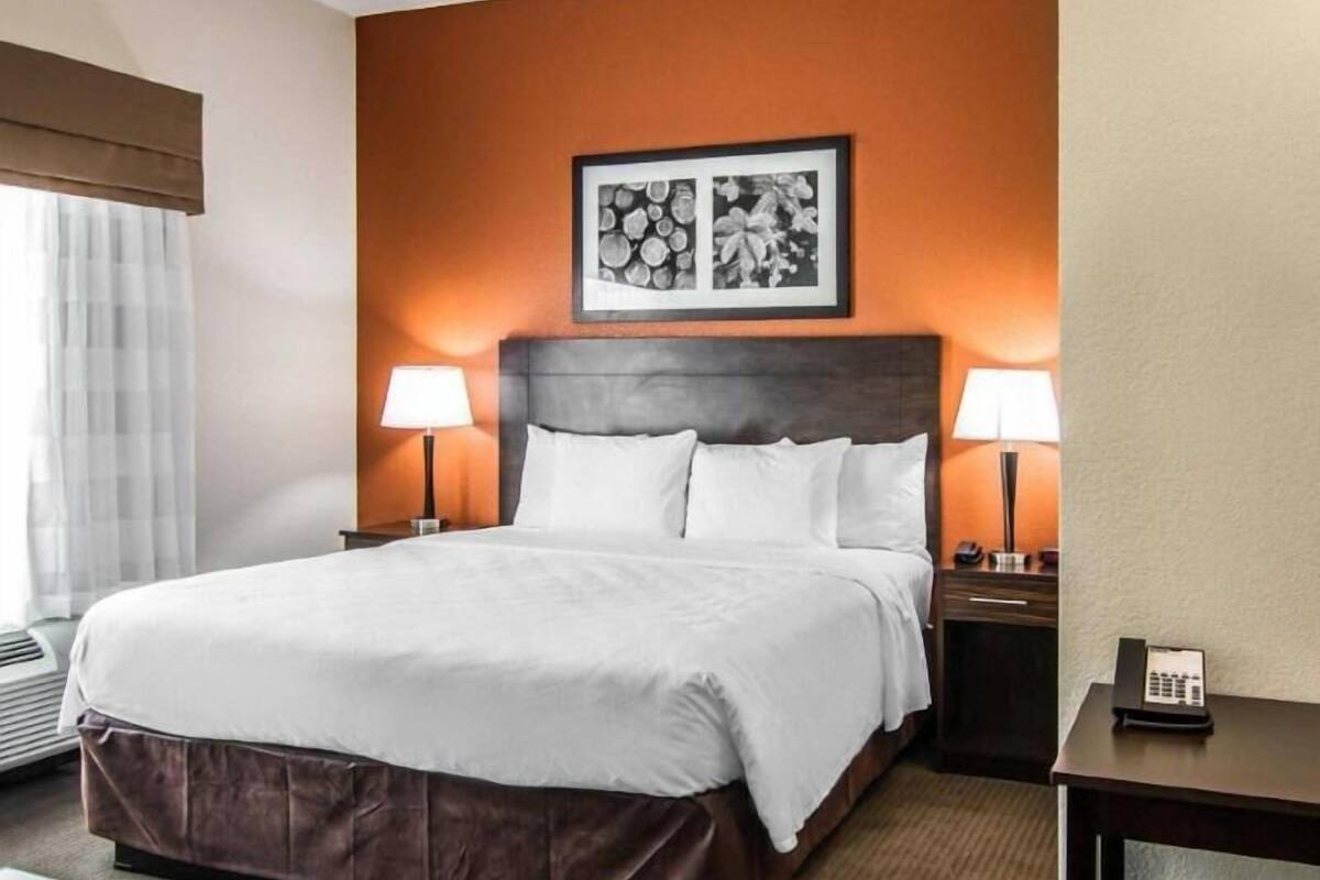 A hotel room with a large bed, two bedside lamps, a framed artwork above the bed, and a telephone on a bedside table.