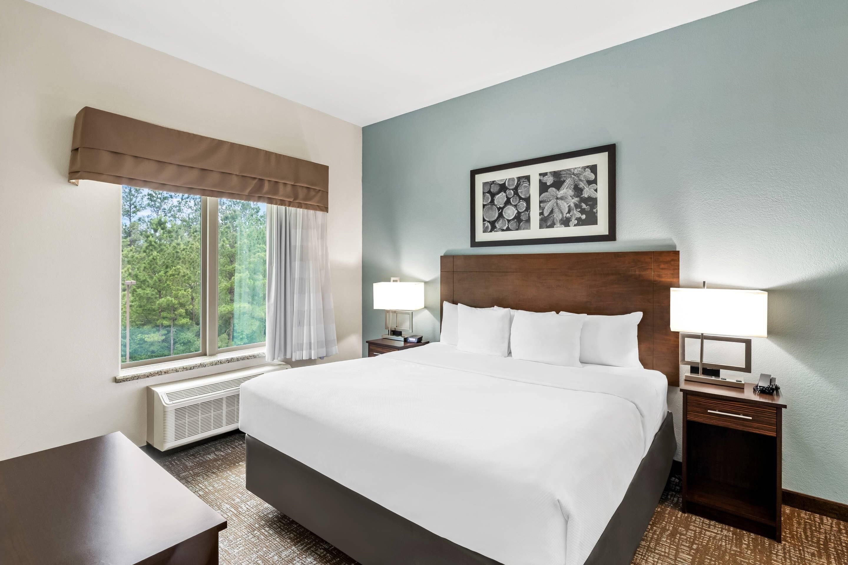 Suite, 1 King Bed | Pillow-top beds, desk, iron/ironing board, free WiFi