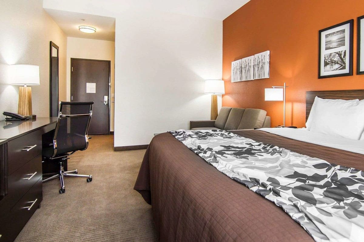 Suite, 1 King-Bett | Hochwertige Bettwaren, Schreibtisch, Bügeleisen/Bügelbrett
