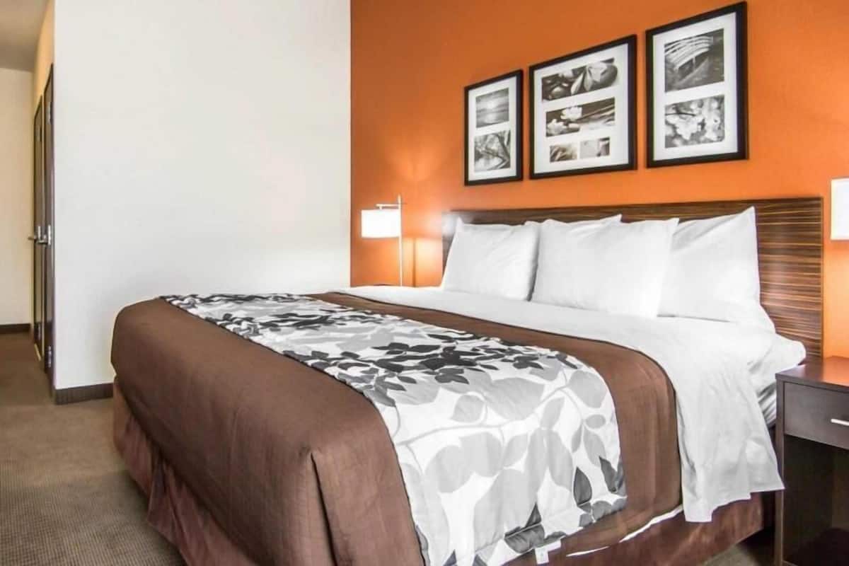 高級寢具、書桌、熨斗/熨衫板、免費 Wi-Fi