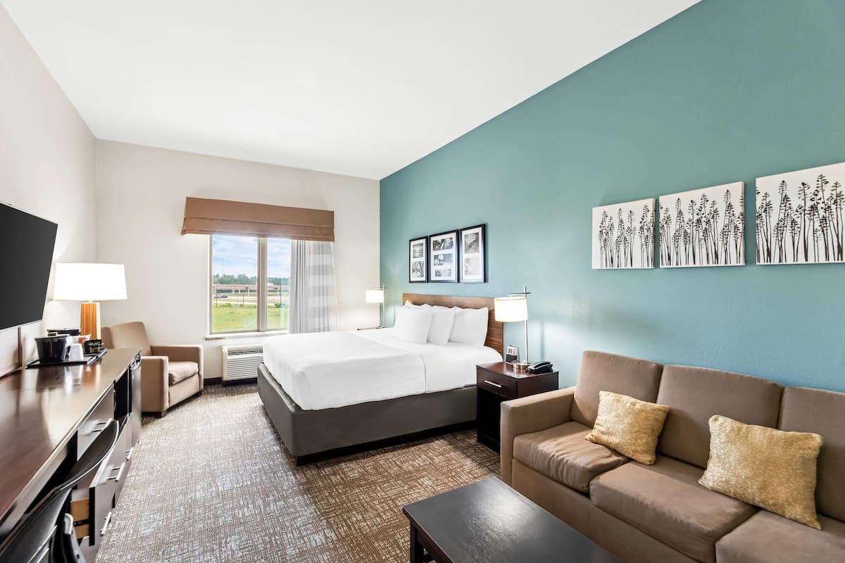 suite, 1 king bed | premium bedding, desk, iron/ironing board, free wifi