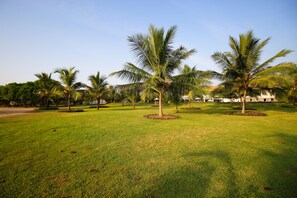 Jardín