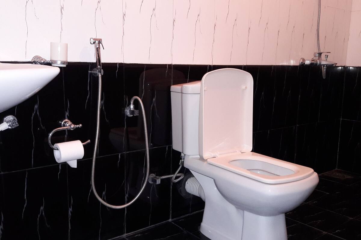 Un baño con inodoro blanco, lavabo y ducha.