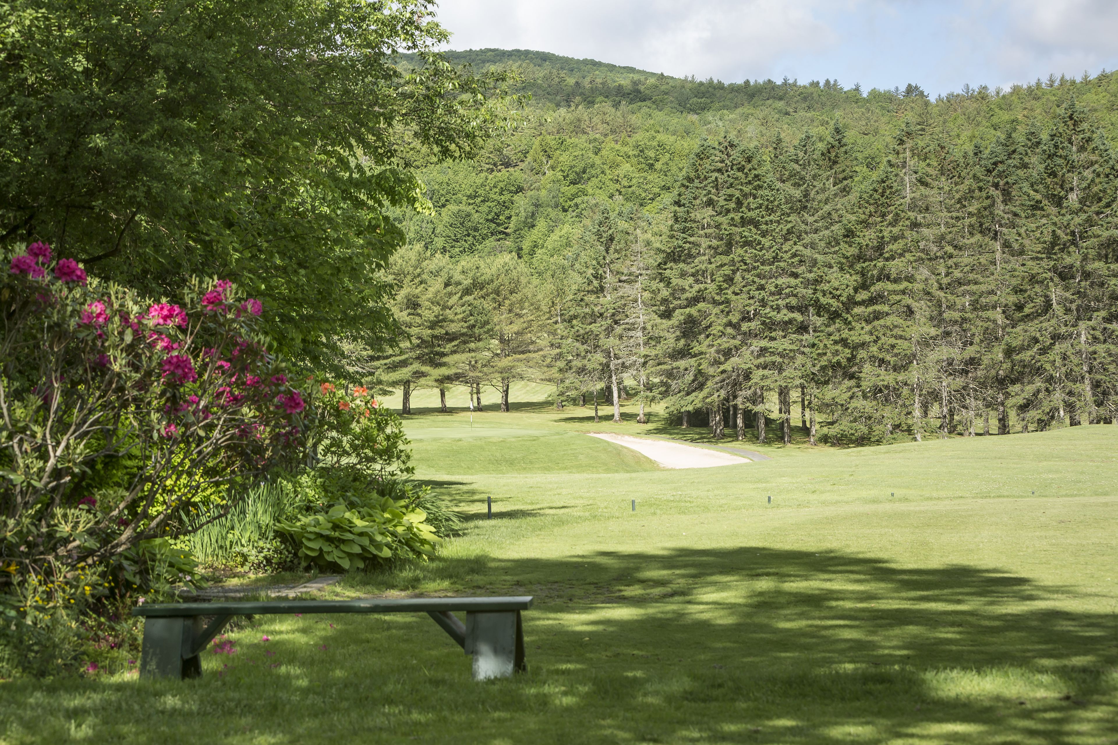 A park with a bench, a grassy area, and a forested hill.