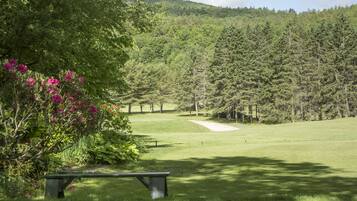 A park with a bench, a grassy area, and a forested hill.