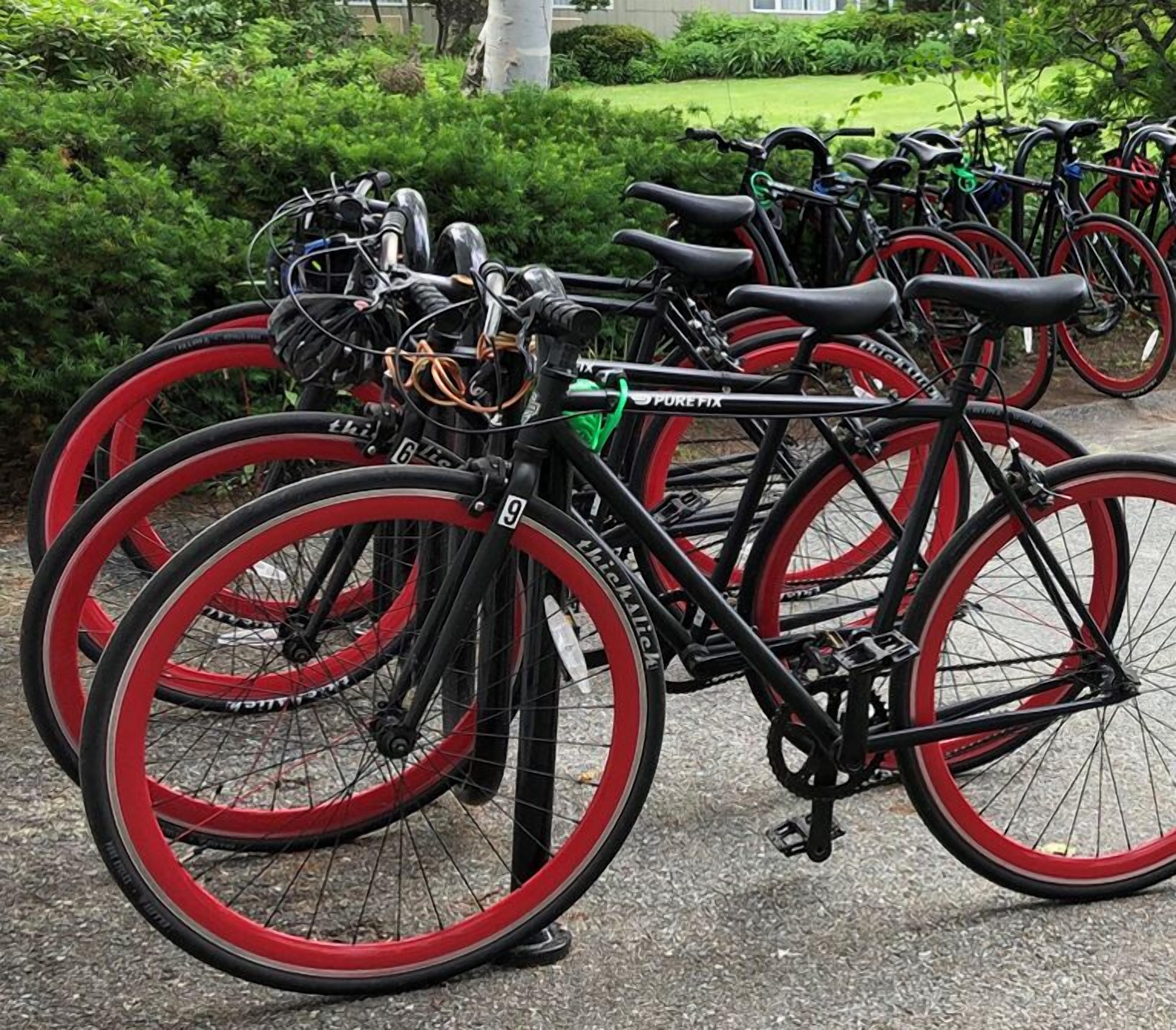 Une rangée de vélos aux pneus rouges est garée dans un espace extérieur, avec de la verdure en arrière-plan.