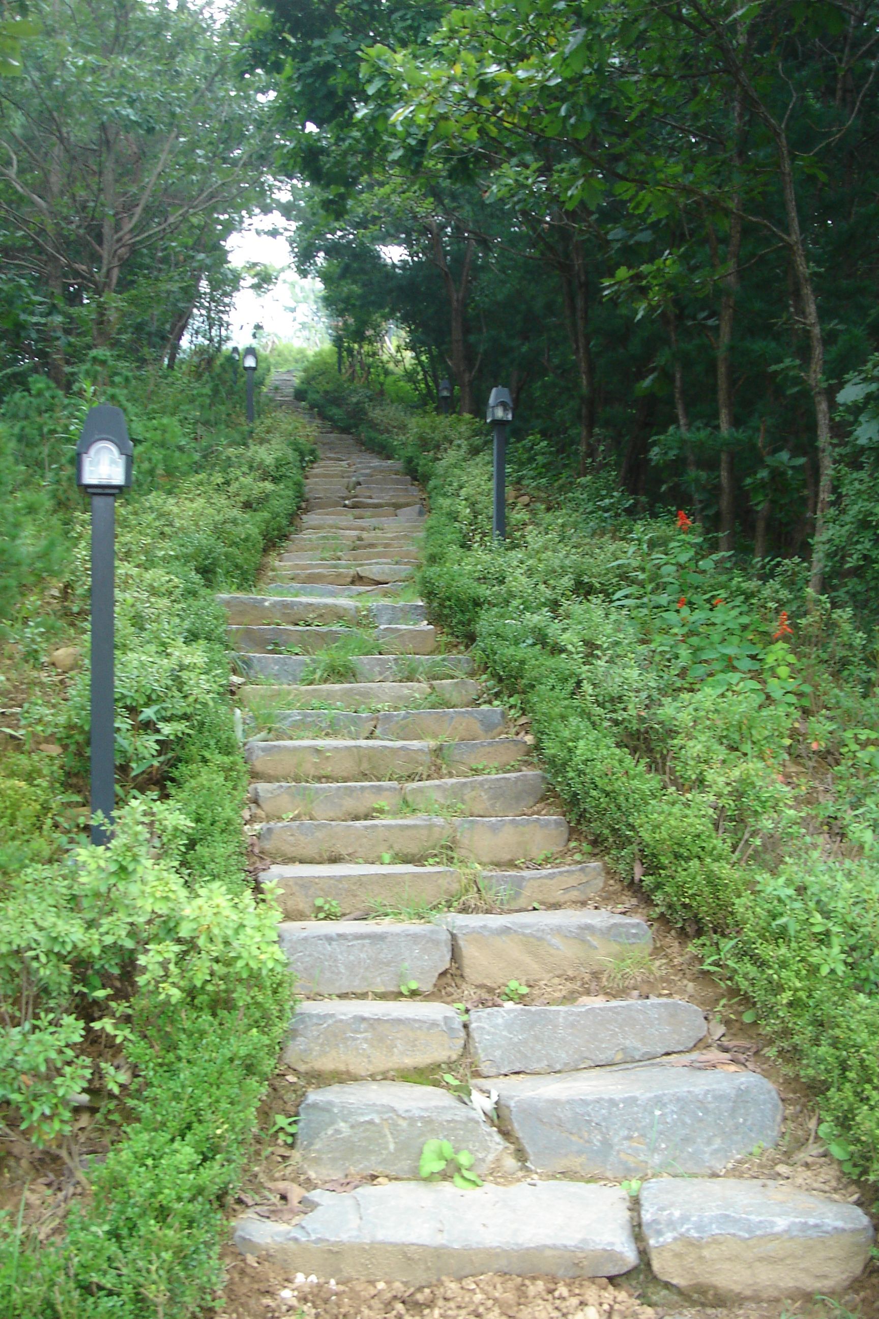 외부 세부 사진