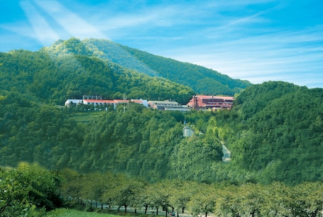 Aussenbereich