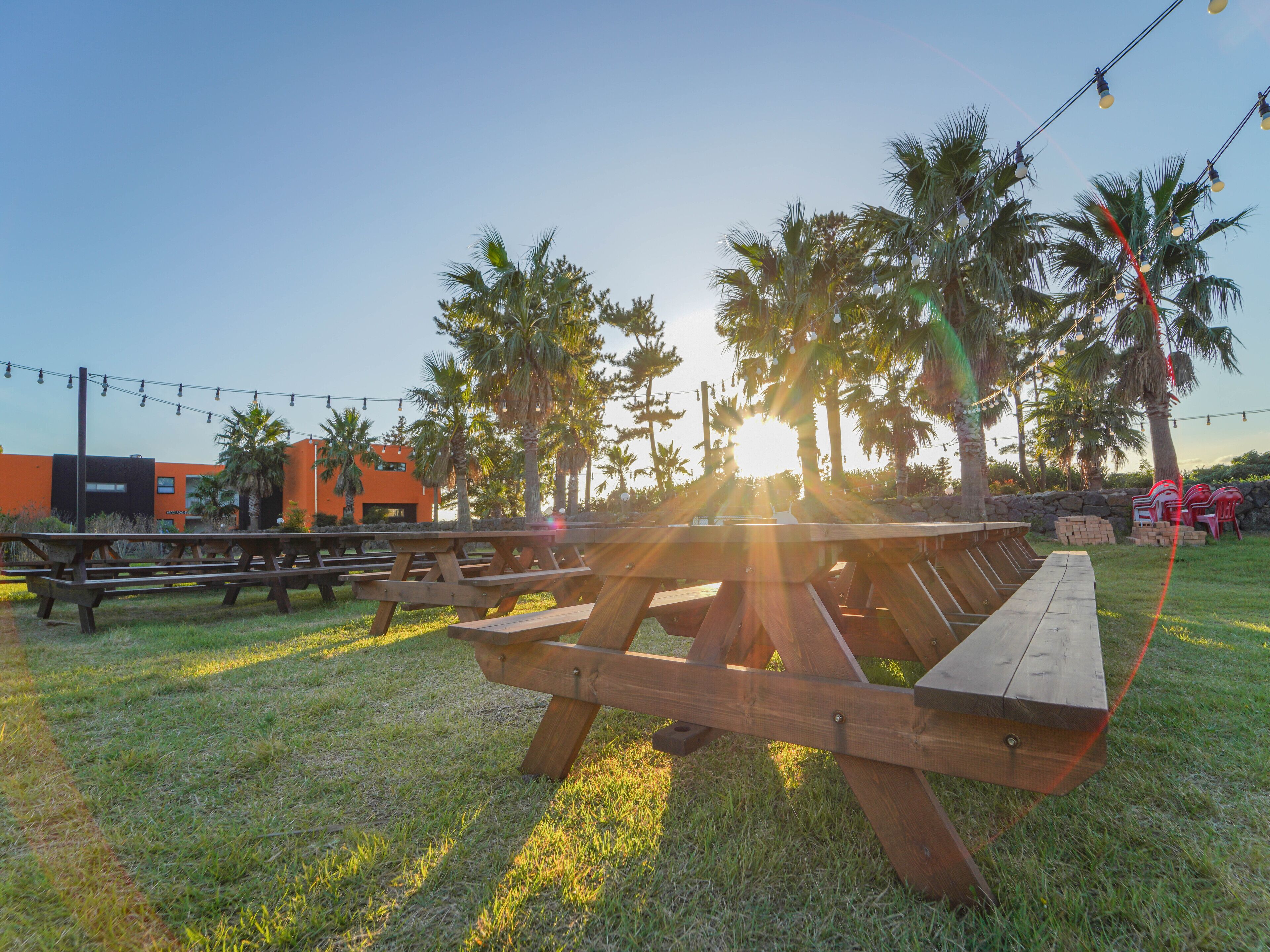 A picnic area with wooden benches and picnic tables, surrounded by palm trees and a building in the background.
