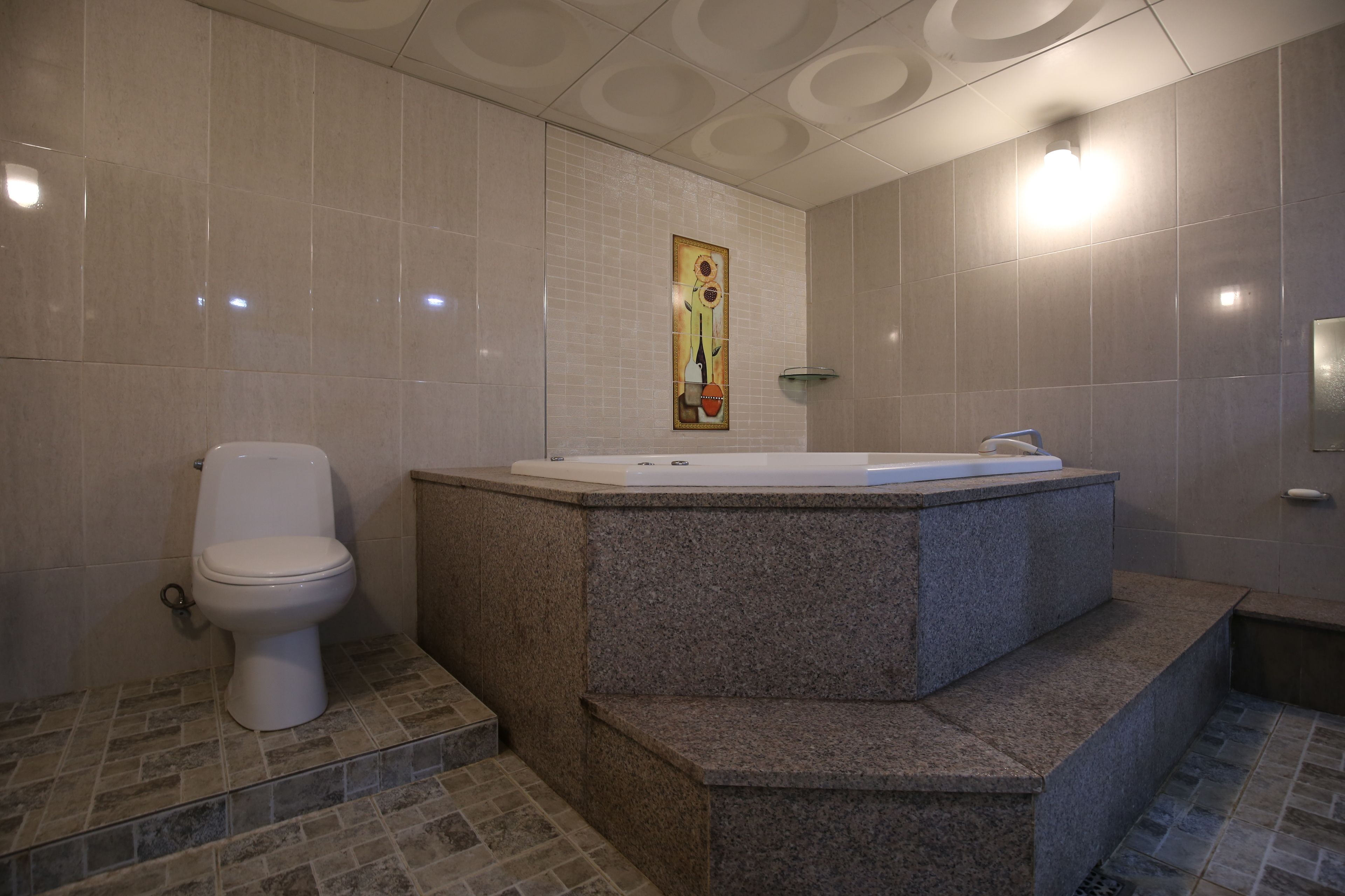 Un baño moderno con inodoro, una bañera grande y un adorno de pared decorativo.