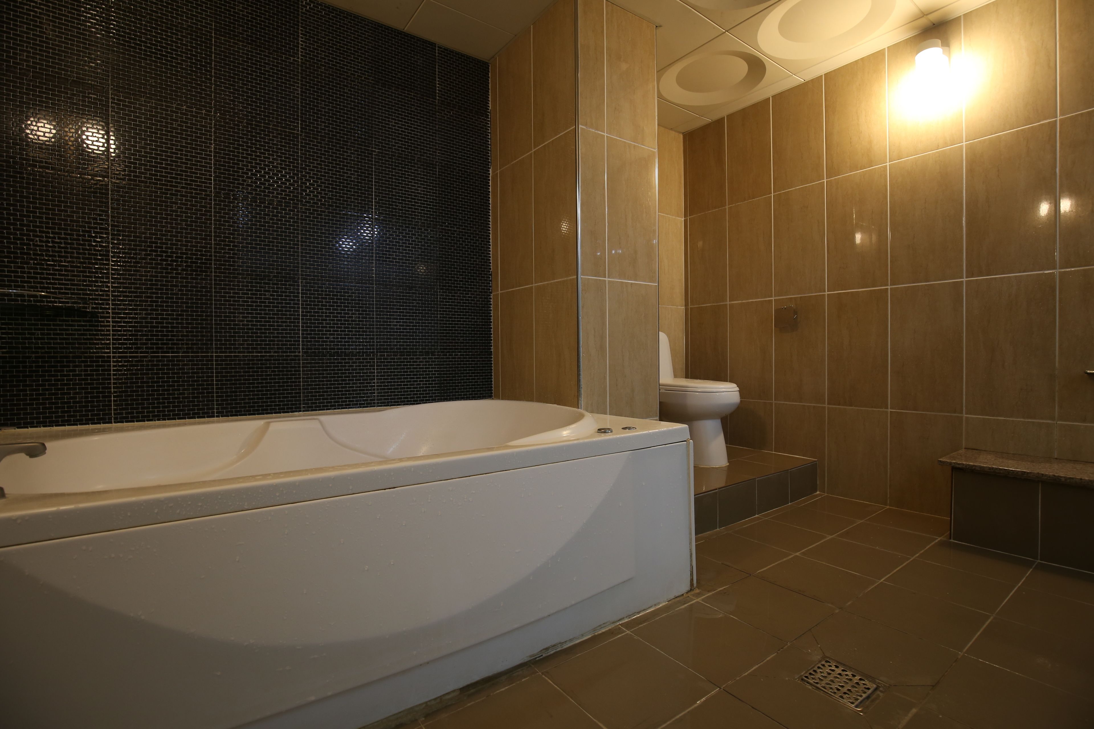 A modern bathroom with a freestanding bathtub, a toilet, and a shower area.