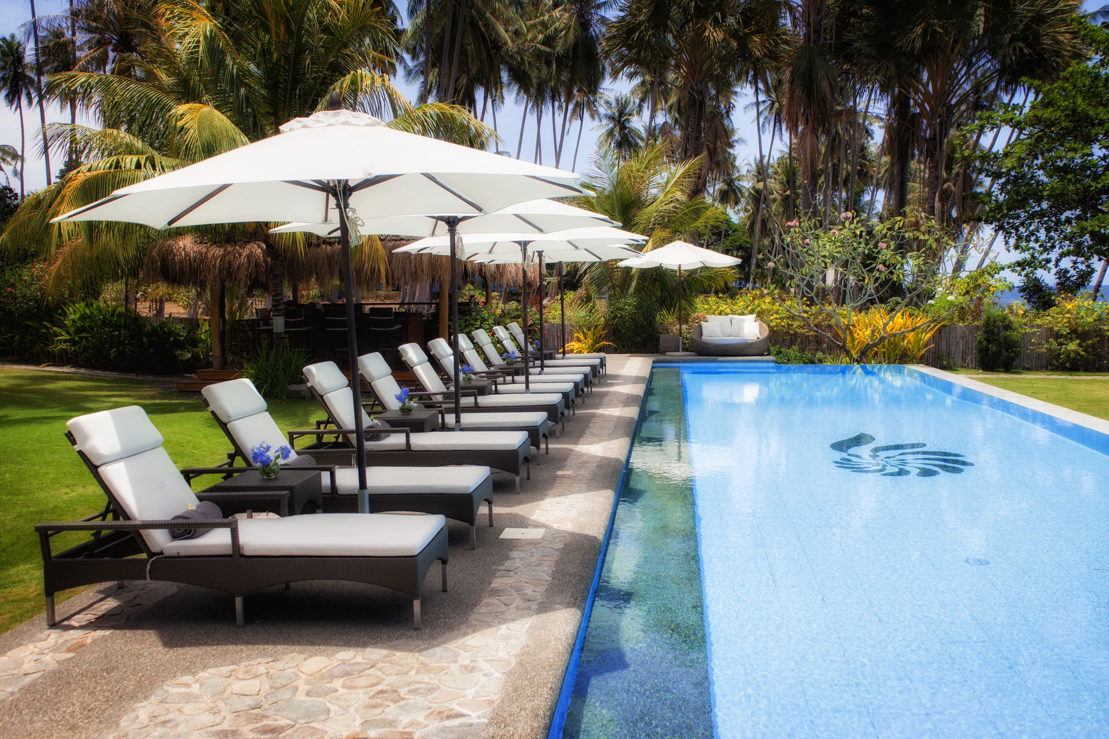 Outdoor pool, pool umbrellas, sun loungers