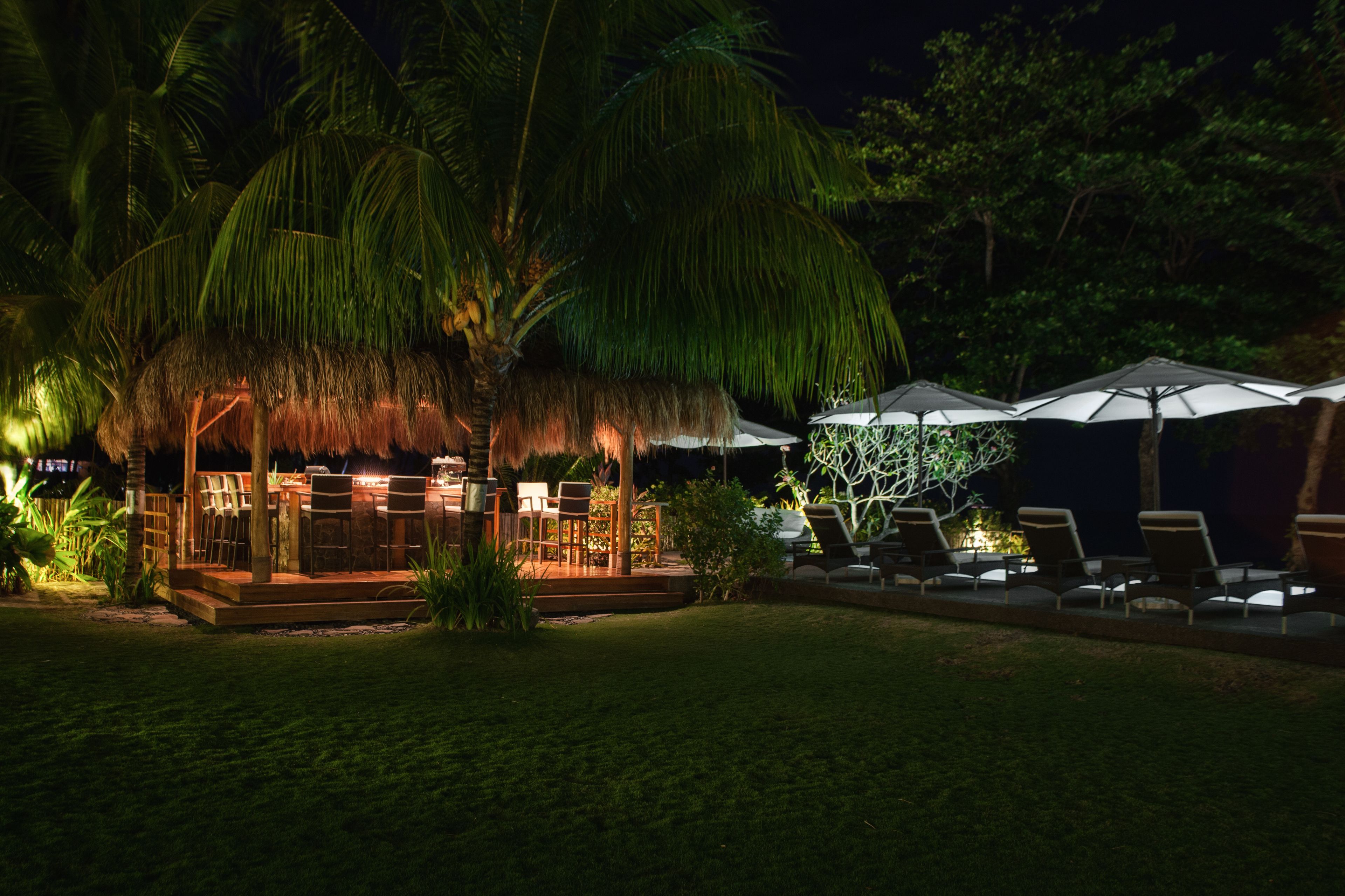 An outdoor dining area with tables and chairs, surrounded by palm trees and umbrellas.