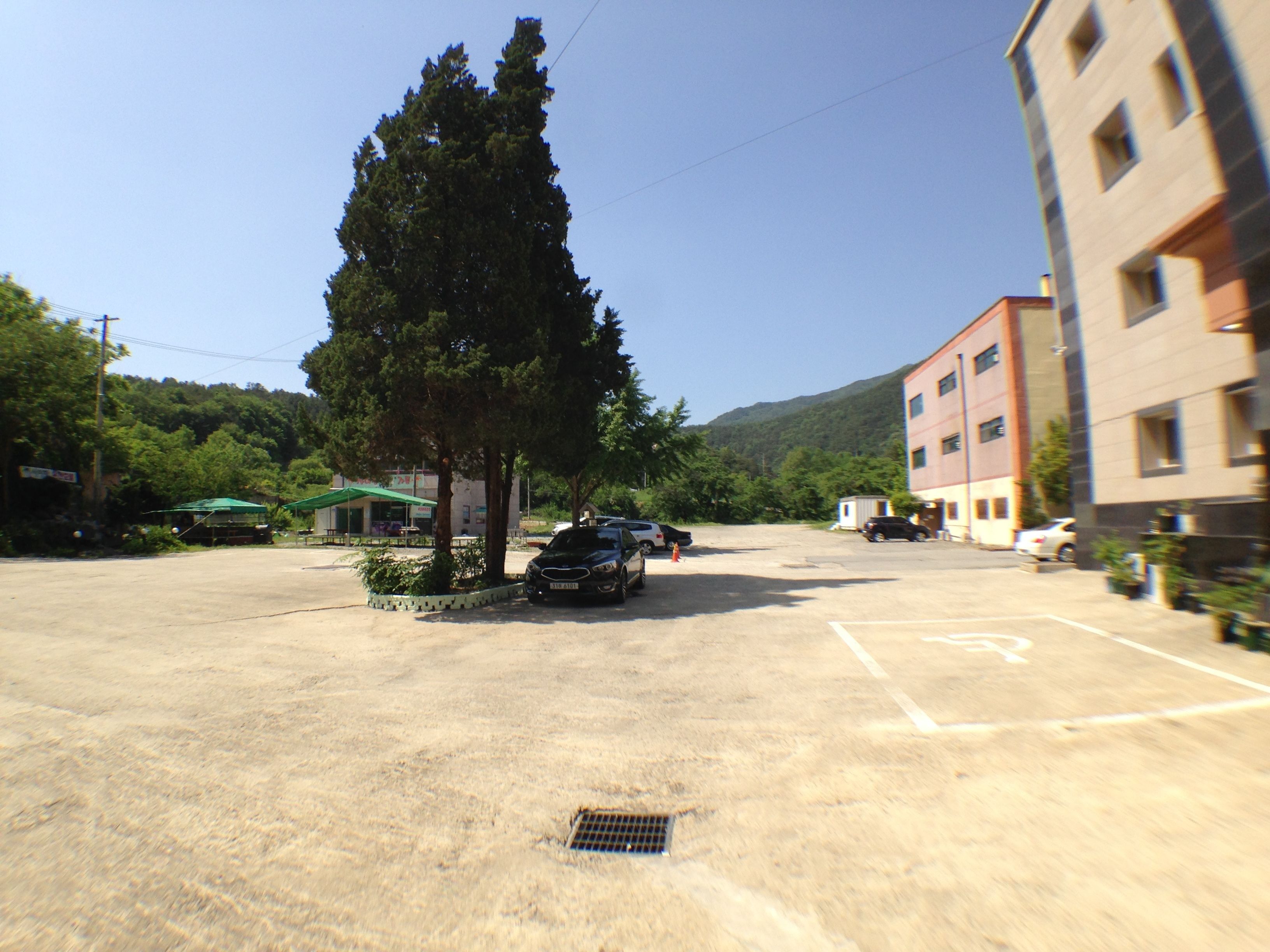 A parking lot with a few cars, a tall tree, and a building with multiple windows.