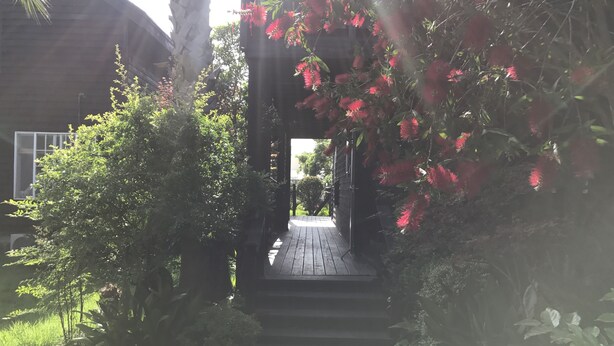 A wooden pathway leading to a building with a covered entrance, surrounded by lush greenery and flowering plants.