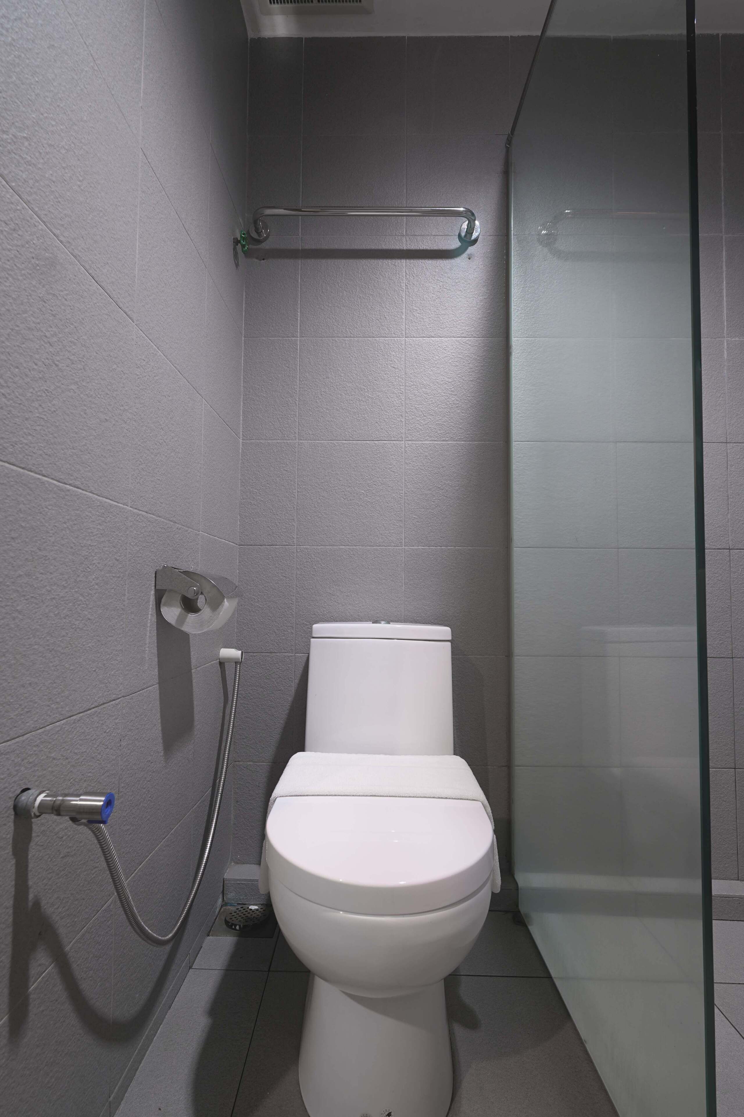 A modern bathroom with a toilet, a glass shower enclosure, and a grab bar.