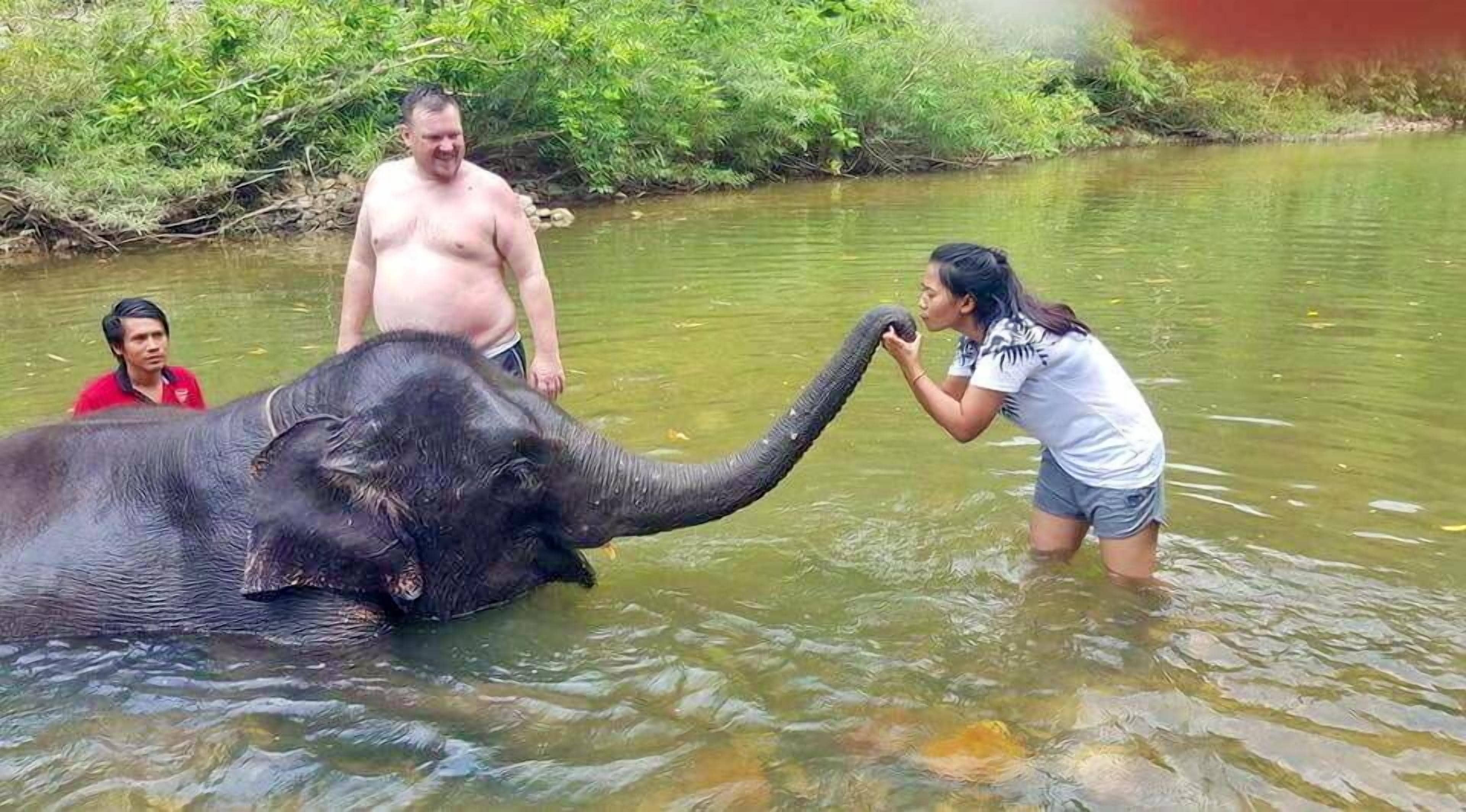 Eine Person interagiert mit einem Elefanten in einer natürlichen Wasserlandschaft.