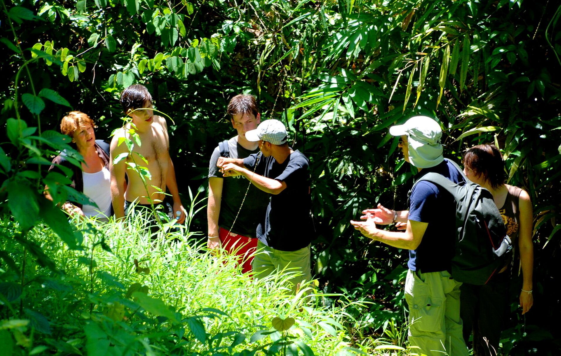 Un gruppo di persone in un ambiente naturale rigoglioso e verde, forse una foresta o un parco.