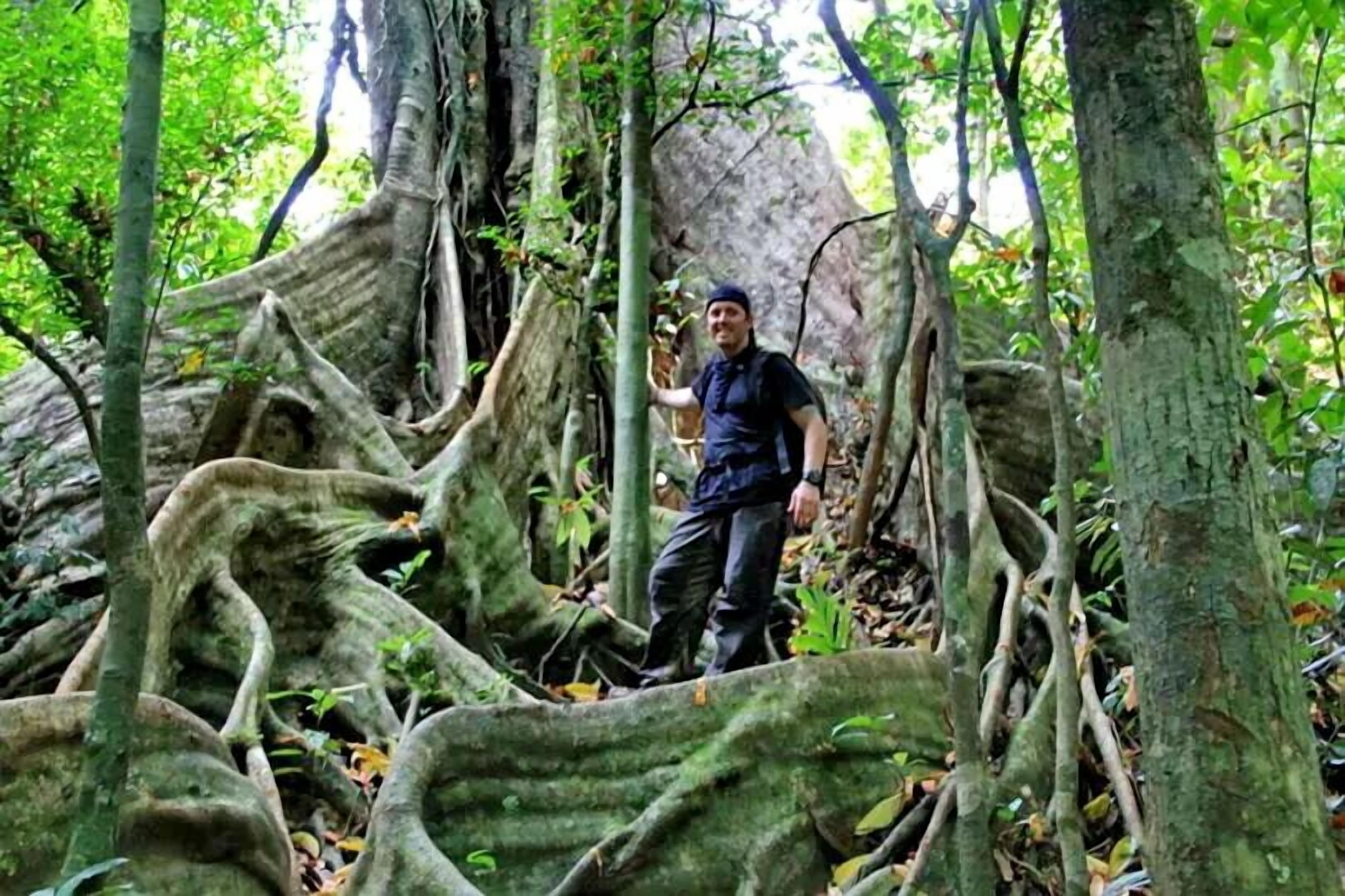 A man standing among large tree roots in a forest.