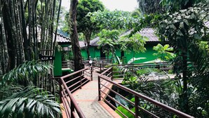 A pathway leading to a green building with a tiled roof, surrounded by dense foliage.