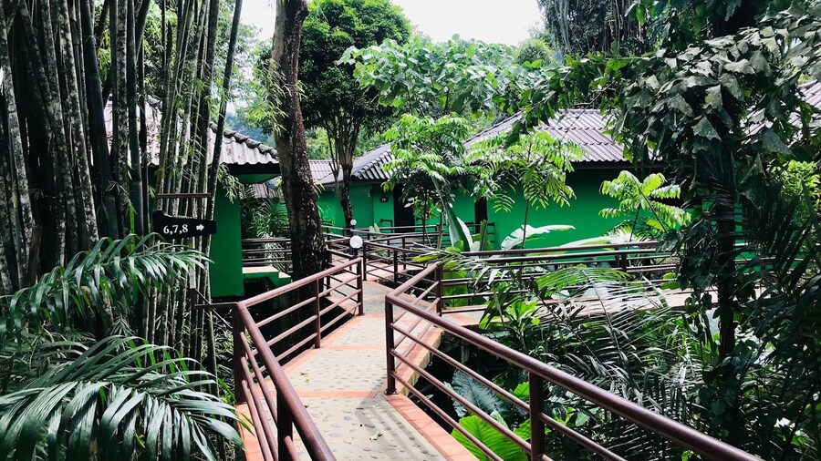 Khao Sok River Lodge Hotel