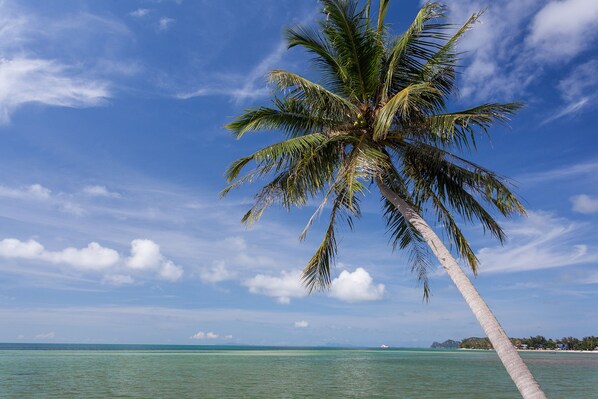 Beachfront Villa 3 Bedrooms | 1 chambre, literie de qualité, couette en duvet, coffre-fort