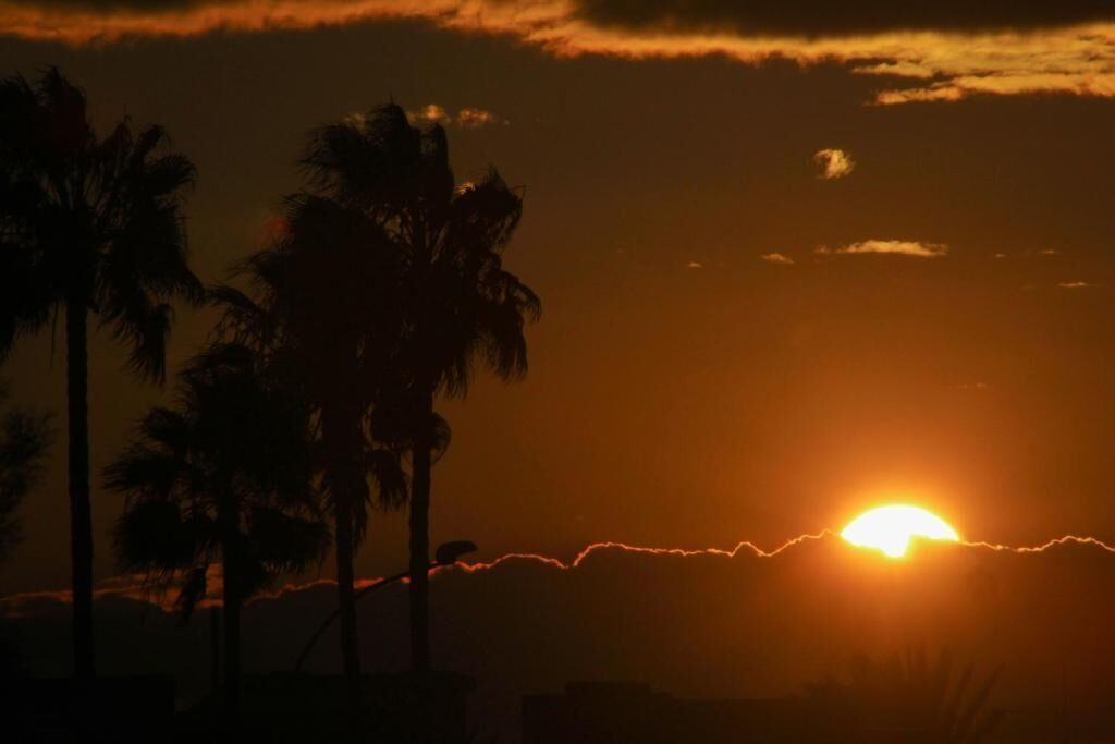 Foto - Bellini Hotel