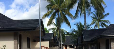 A residential street with houses, palm trees, and a clear sky.