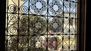 Una ventana con intrincados detalles de hierro forjado y un florero con flores.