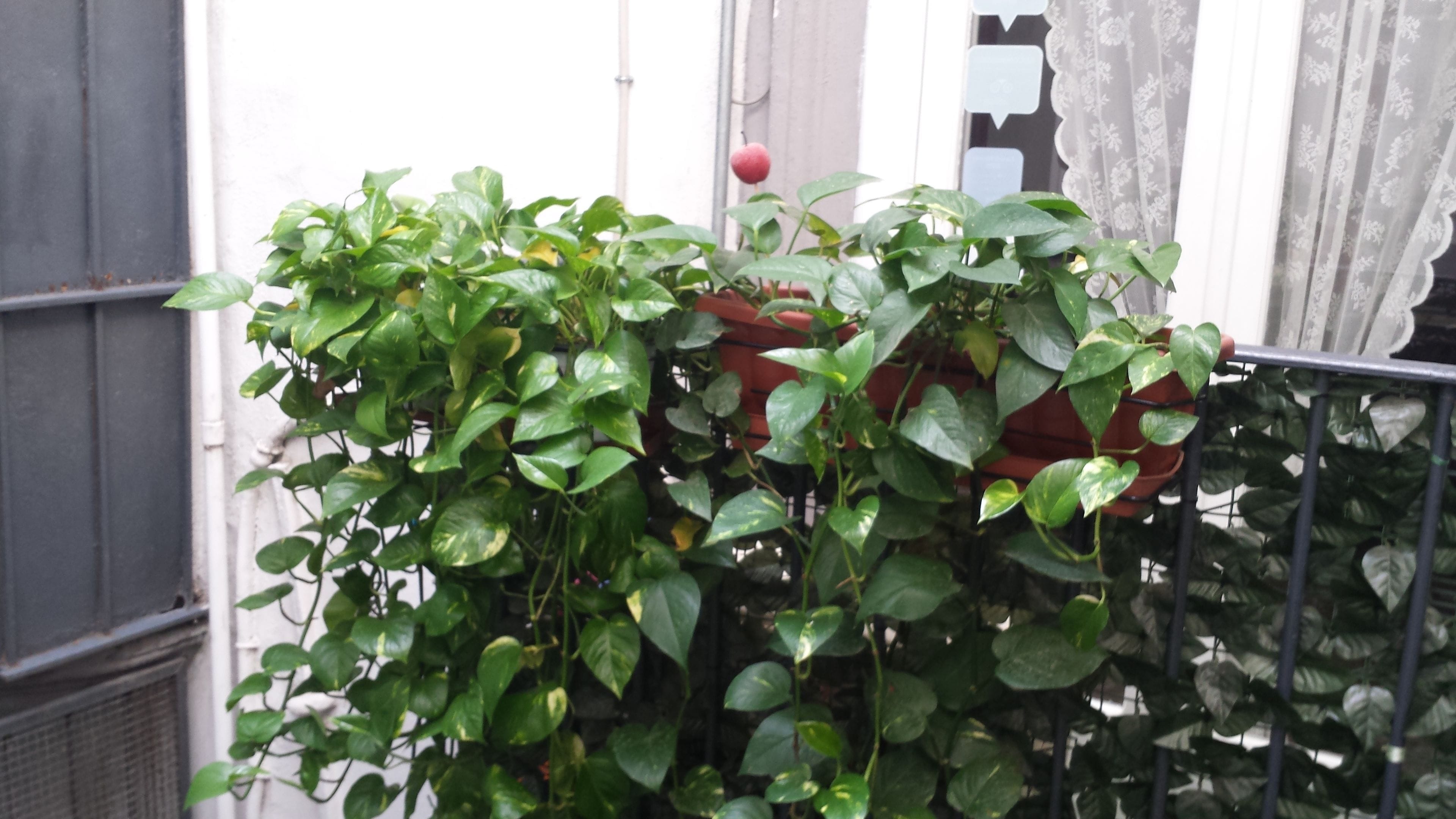 Photo - Bed and Breakfast Casa Mariella