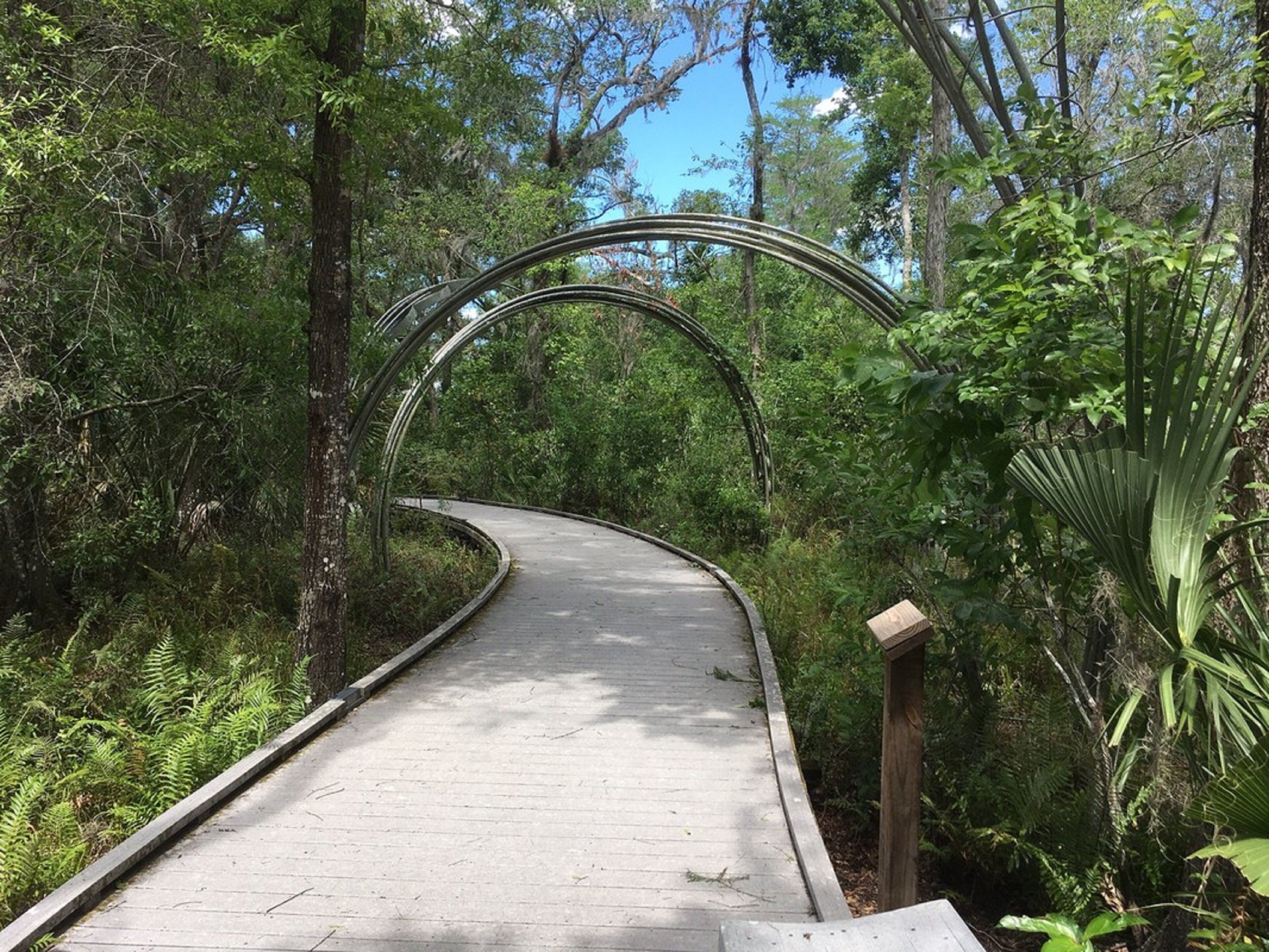 A curved pathway in a forested area with metal arches overhead.