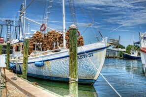 مكان جذب سياحي