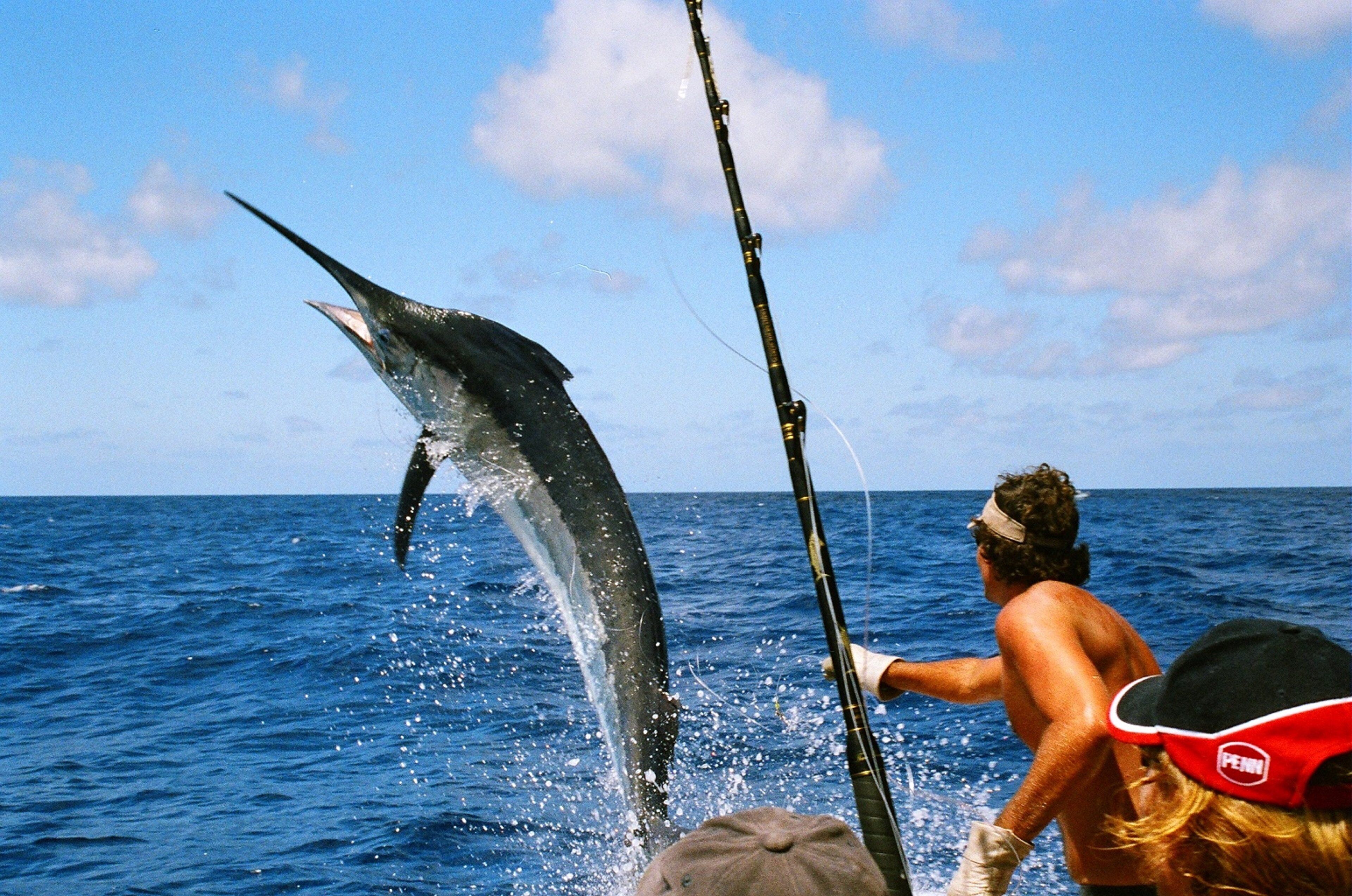 A person on a boat with a fishing rod, a large fish leaping out of the water, and a clear blue sky.