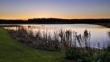 A tranquil lakeside scene with a grassy foreground and a forest in the background.