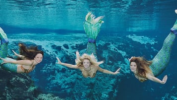 Three mermaids swimming underwater with rocky formations in the background.