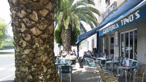 Un café con terraza, palmeras y un muro de piedra.