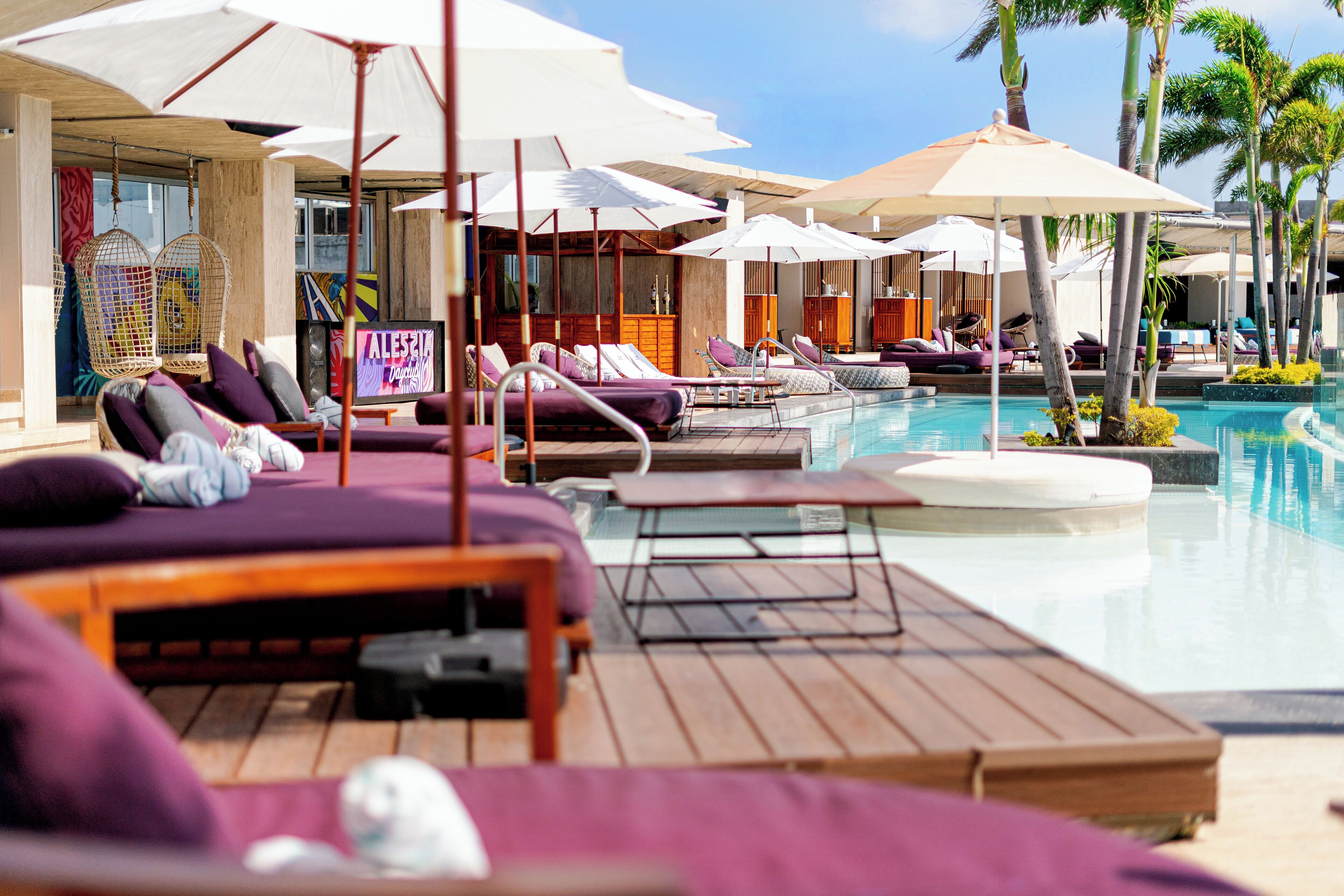 A poolside area with sun loungers and umbrellas, a pool, and palm trees.