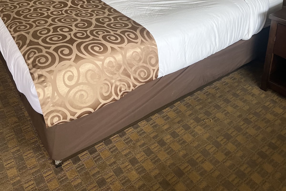 A hotel room with a large bed, a nightstand, a lamp, and a door.