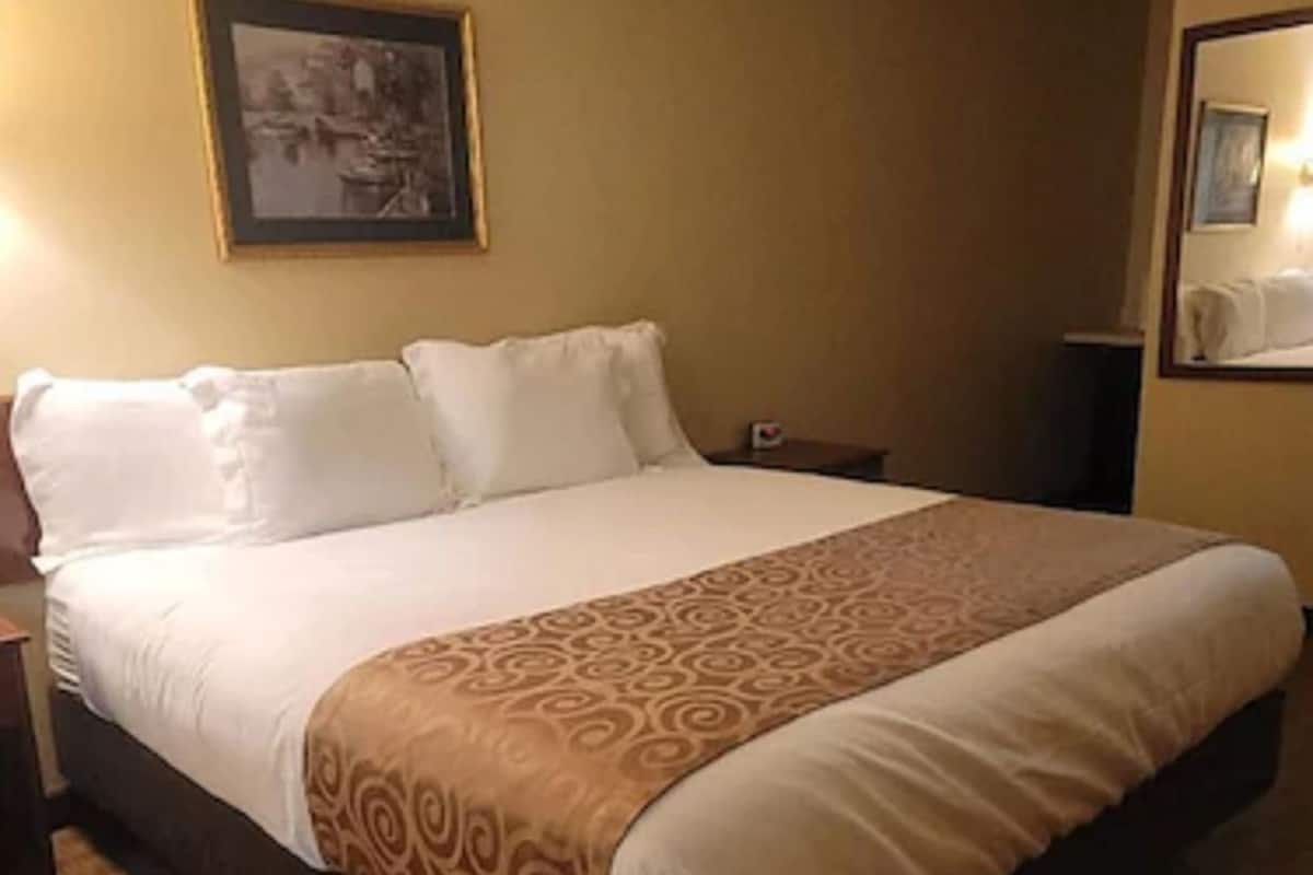 Ropa de cama de alta calidad, escritorio y cortinas blackout