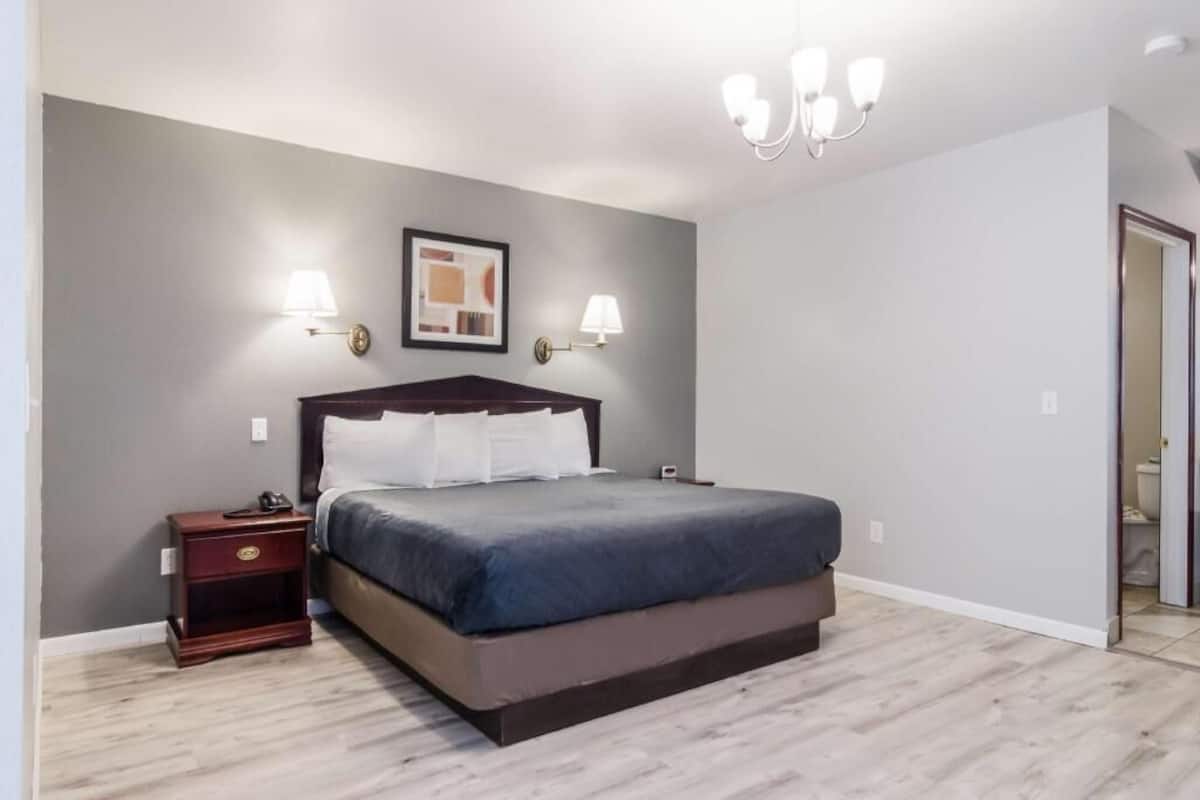 Ropa de cama de alta calidad, escritorio y cortinas blackout