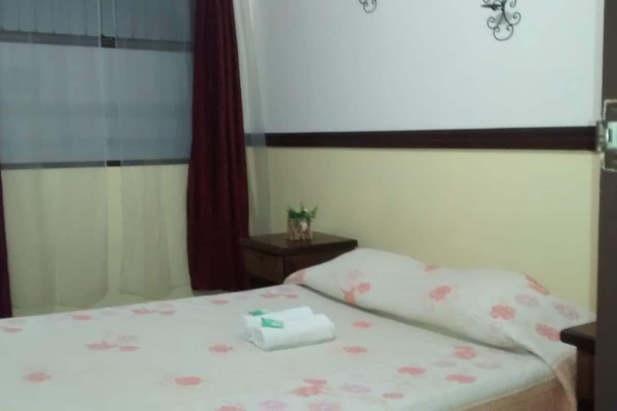 Standard Double Room, Private Bathroom (Irazu) | Iron/ironing board (on request), rollaway beds (surcharge), WiFi (free)
