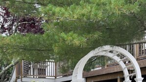 Garden - Salt House Inn (Provincetown)