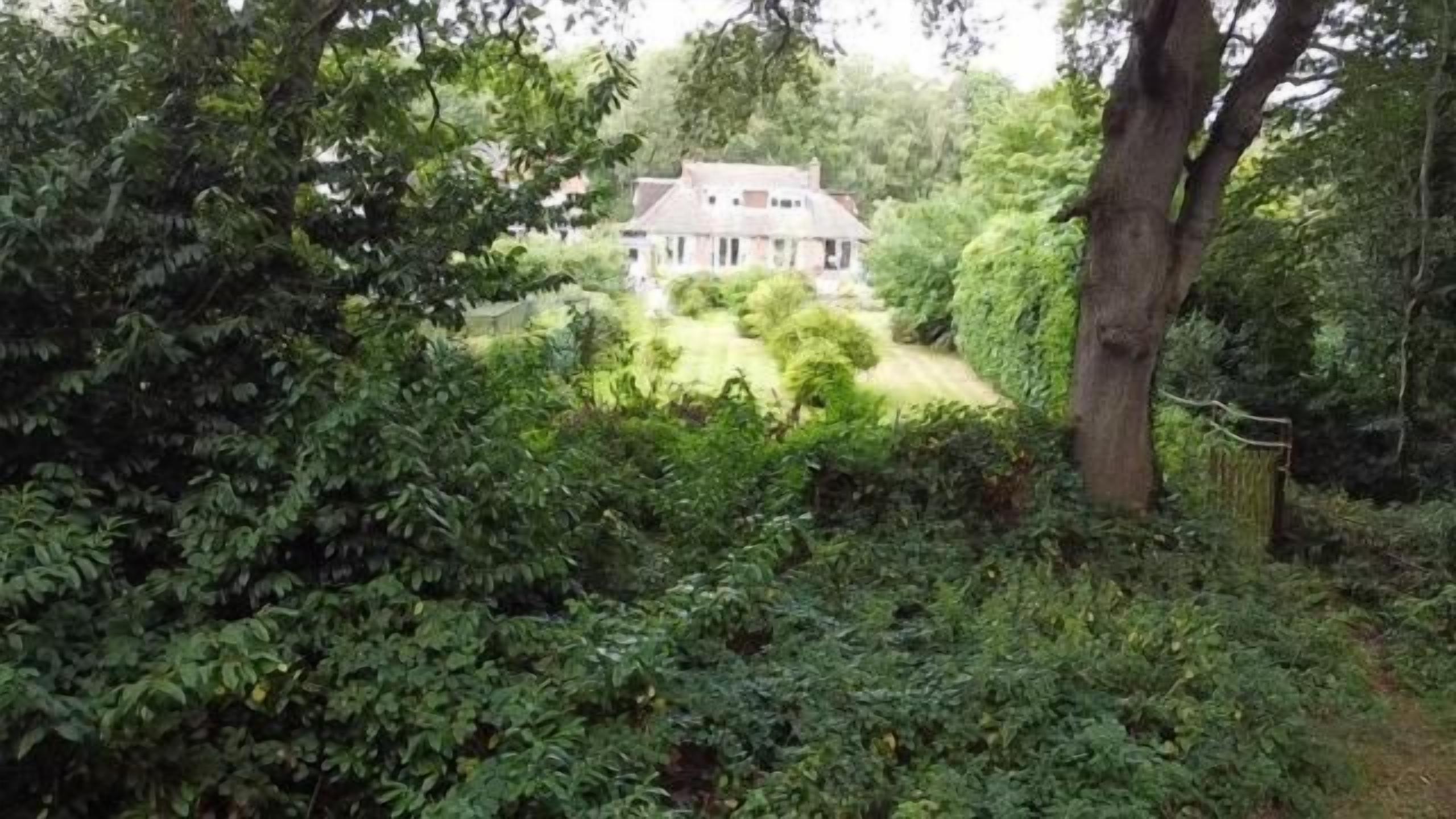 Una casa rodeada de abundante vegetación.