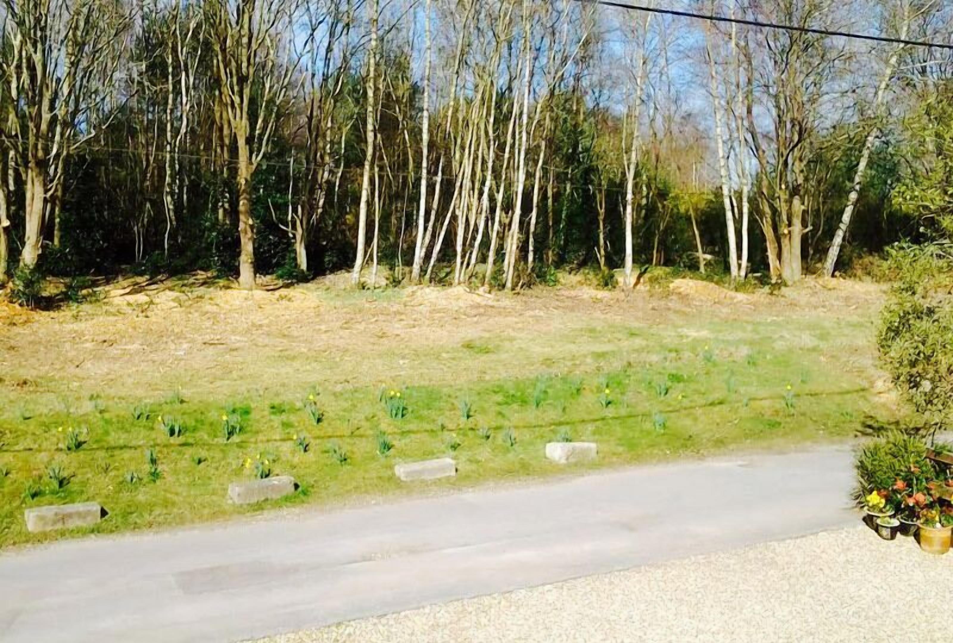 Una carretera bordeada por una zona verde y árboles.