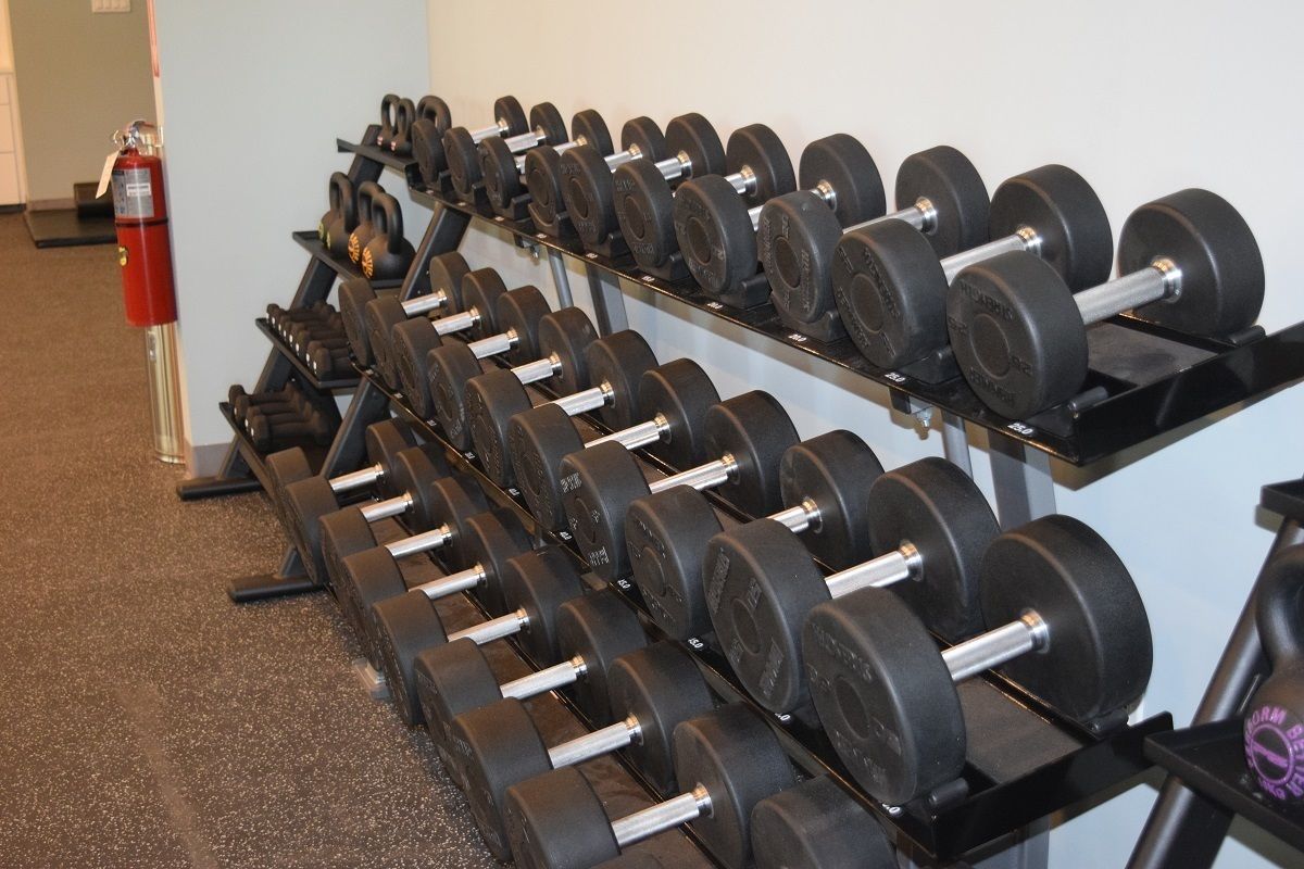 A row of black dumbbells on a rack in a gym.